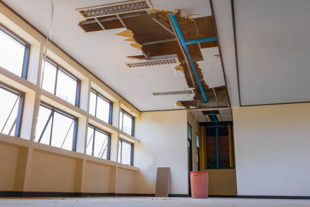 Best Local water damage restoration  in Temple, PA