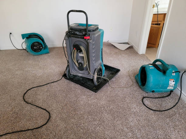 Sewage cleanup and water damage restoration in Temple, PA