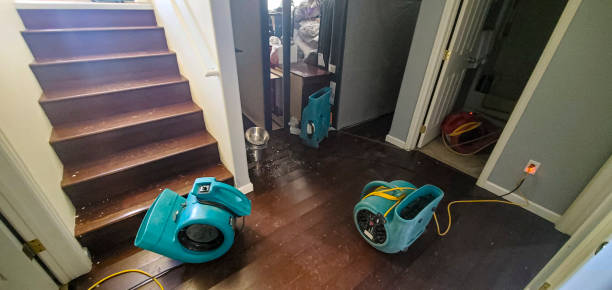 Best Water damage cleanup near me  in Temple, PA