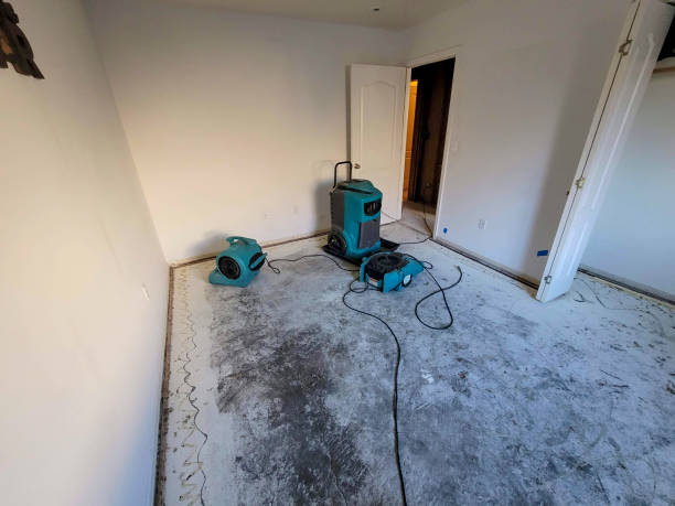 Trusted Temple, PA Water damage restoration Experts