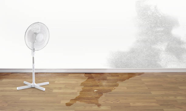 Best 24-hour water damage restoration  in Temple, PA