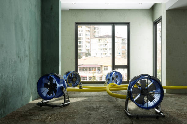 Best Commercial water damage restoration  in Temple, PA